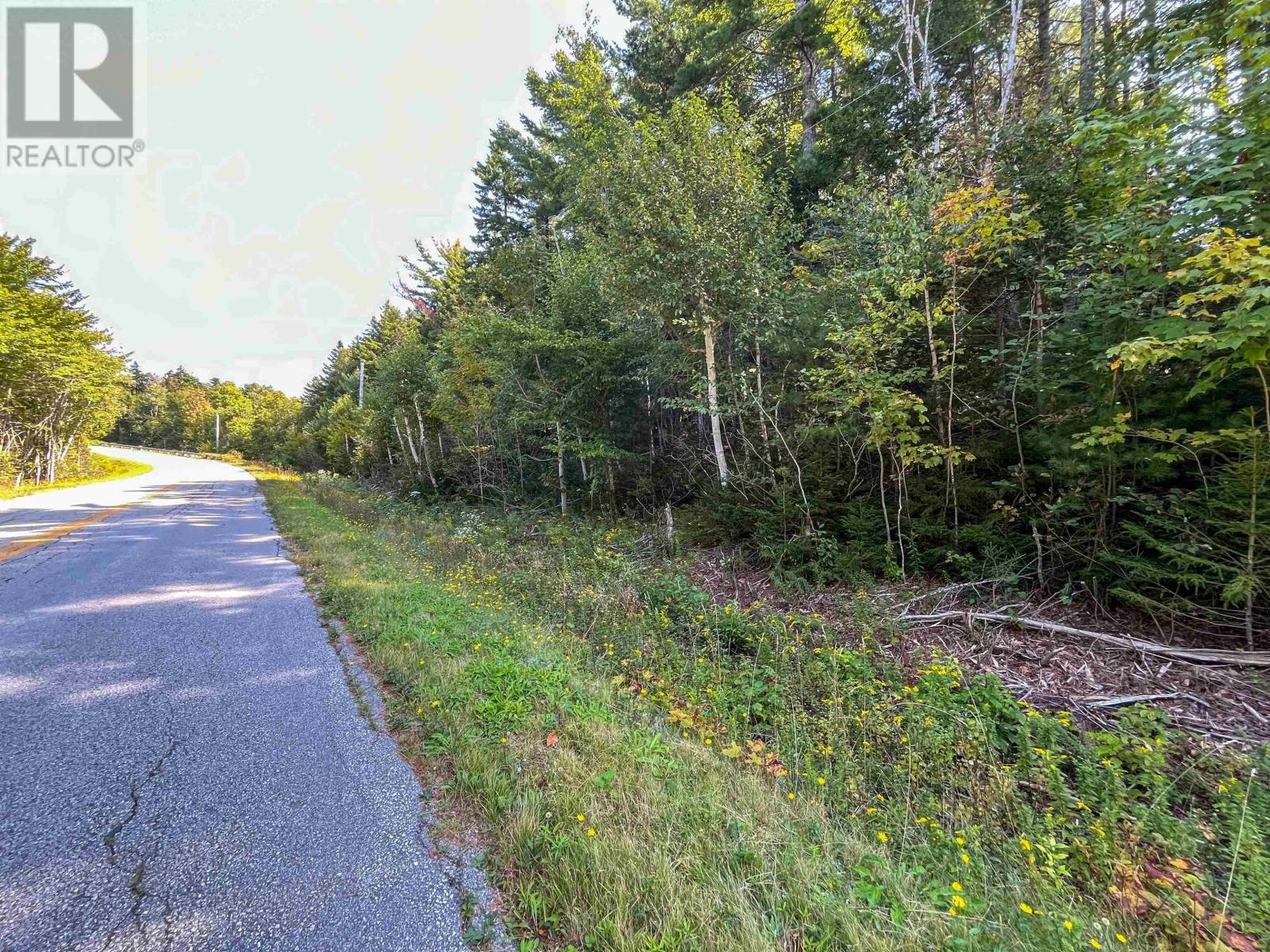 Lots Thibault Road, St. Joseph, Nova Scotia  B0W 1M0 - Photo 7 - 202507060