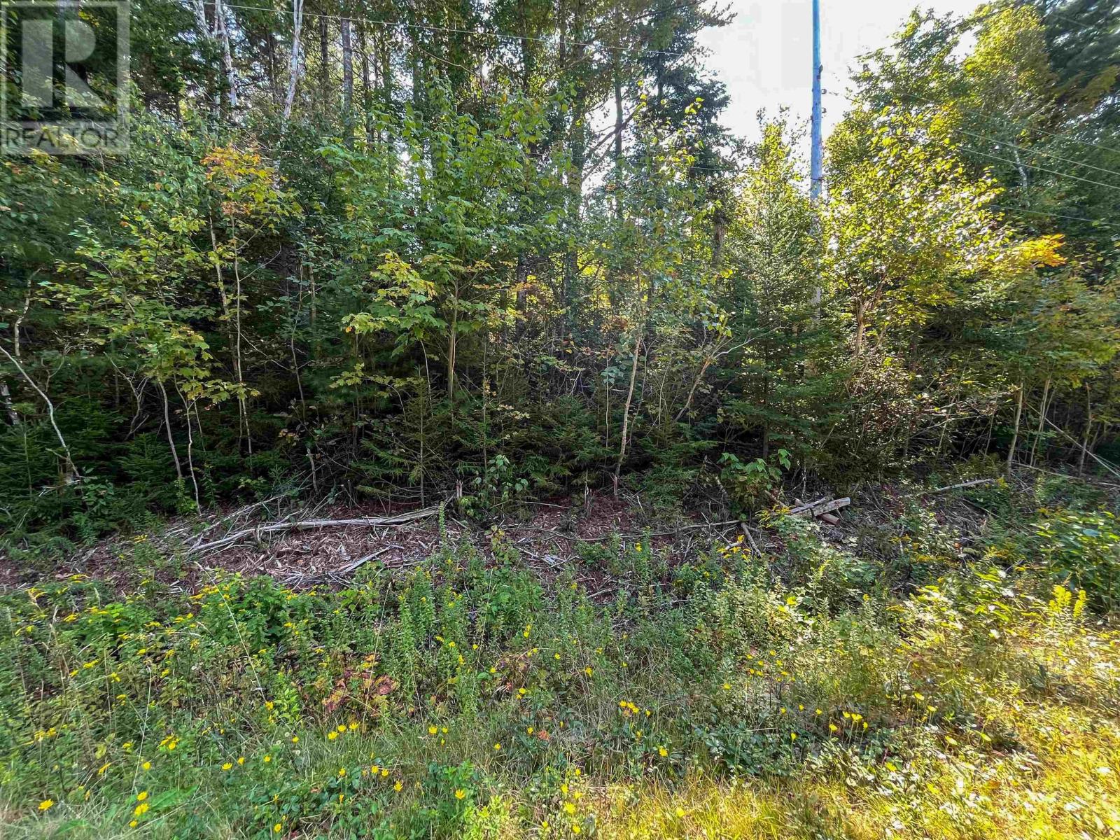 Lots Thibault Road, St. Joseph, Nova Scotia  B0W 1M0 - Photo 9 - 202507060