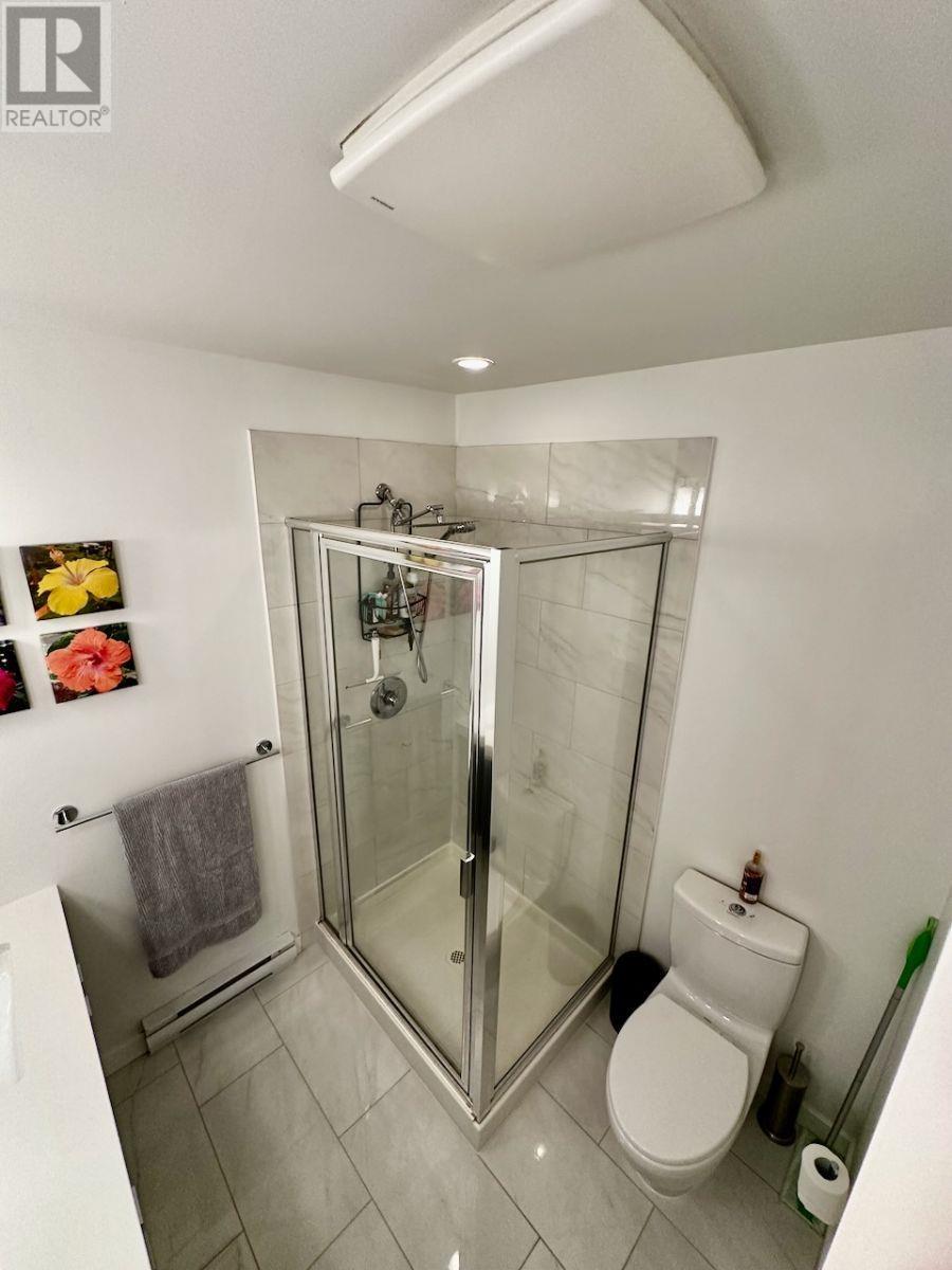 53 2380 Ranger Lane, Port Coquitlam, British Columbia  V3B 0M4 - Photo 15 - R2986704