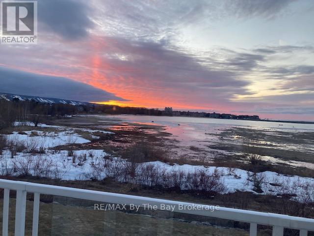40 Cranberry Surf, Collingwood, Ontario  L9Y 5C4 - Photo 48 - S11994659