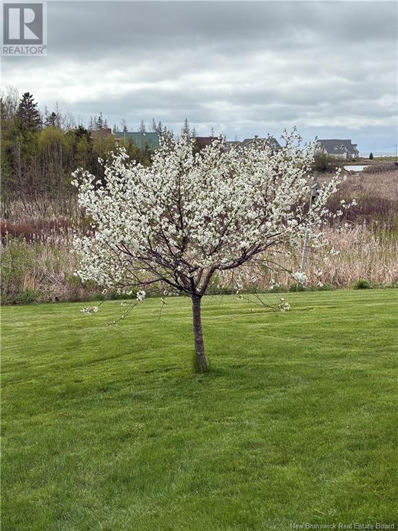 6 Olivier, Grand-Barachois, New Brunswick  E4P 7X5 - Photo 3 - NB115683