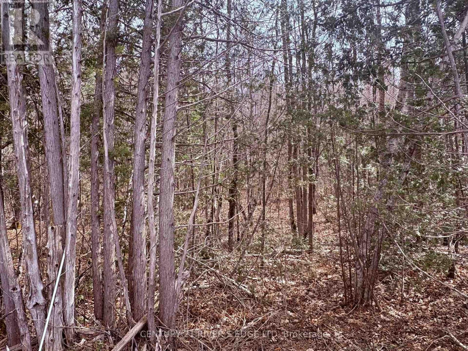 1719 Brouseville Road, Edwardsburgh/cardinal, Ontario  K0E 1X0 - Photo 2 - X12066767