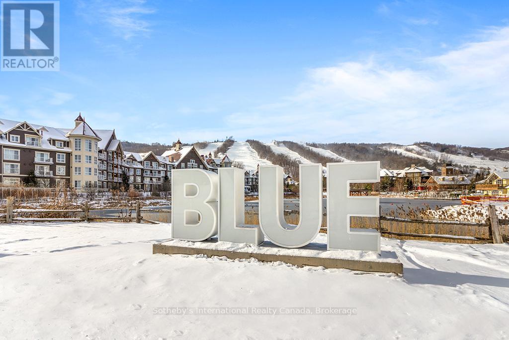 107 Snow Apple Crescent, Blue Mountains, Ontario  L9Y 0Y1 - Photo 42 - X12066894