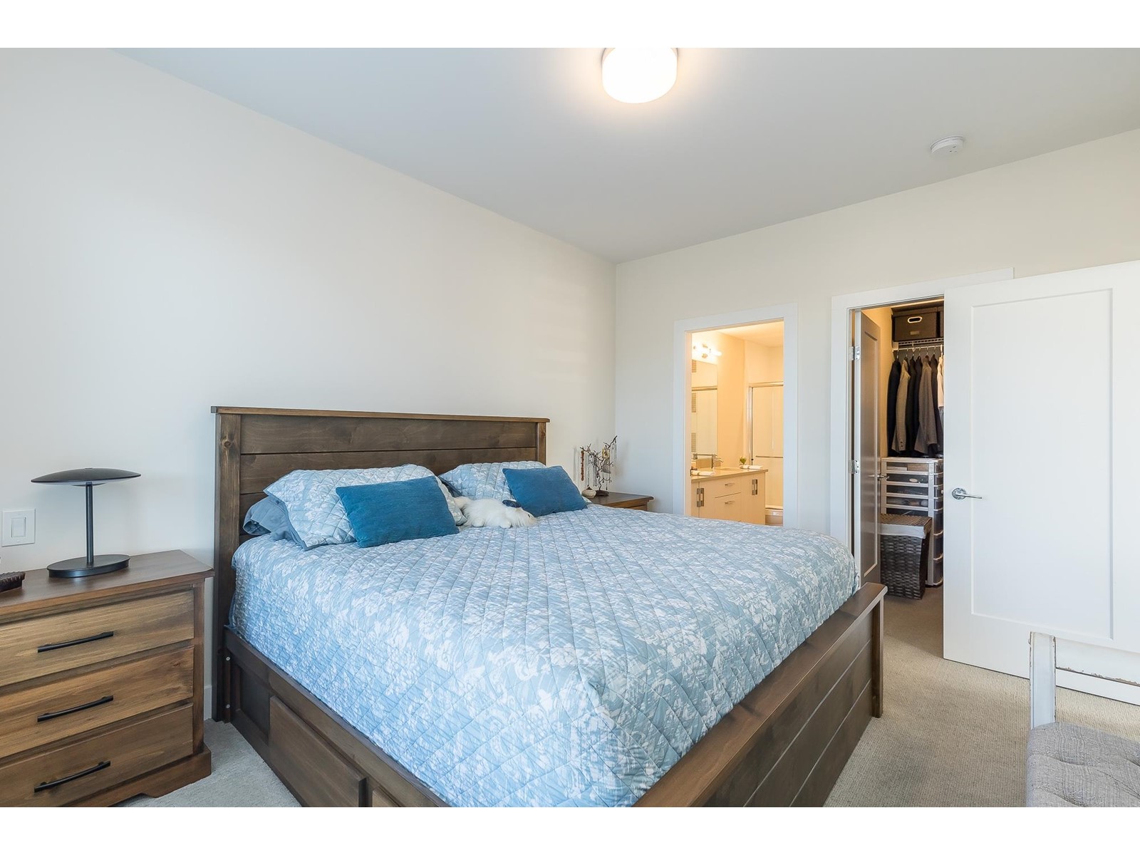 212 32838 Ventura Avenue, Abbotsford, British Columbia  V2S 0M5 - Photo 20 - R2986894