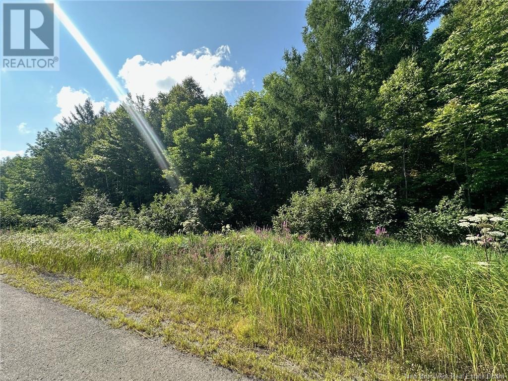 Vacant Lot Route 102, Dumfries, New Brunswick  E6G 1N9 - Photo 6 - NB115770