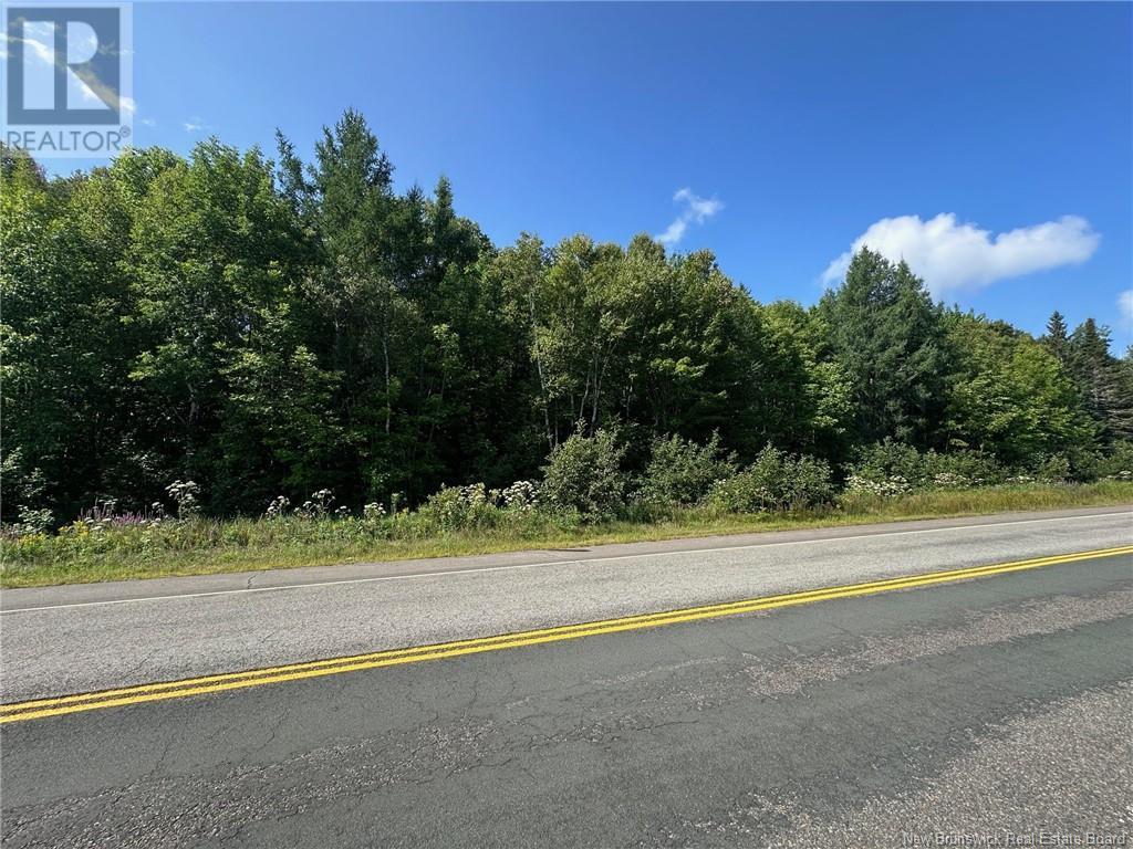 Vacant Lot Route 102, Dumfries, New Brunswick  E6G 1N9 - Photo 7 - NB115770