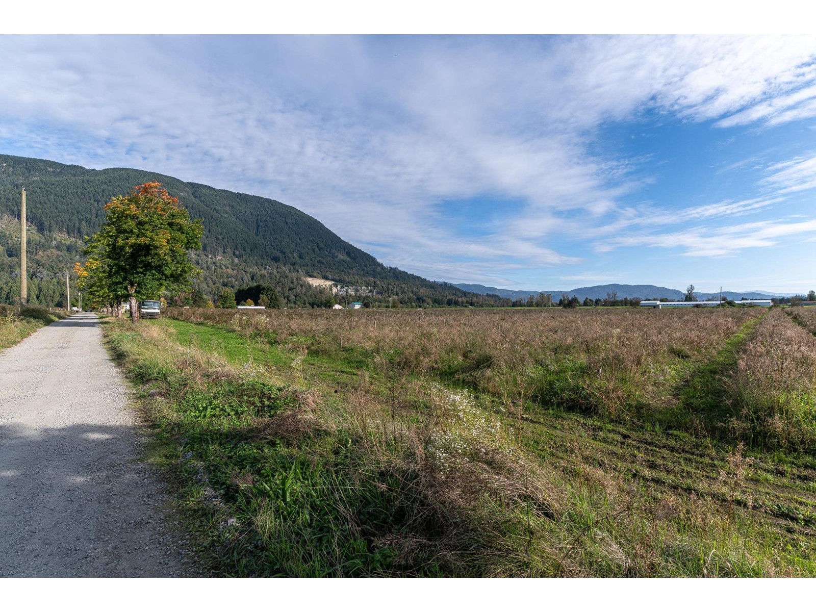 10594 Farms Road, Mission, British Columbia  V2V 4J1 - Photo 5 - R2984731