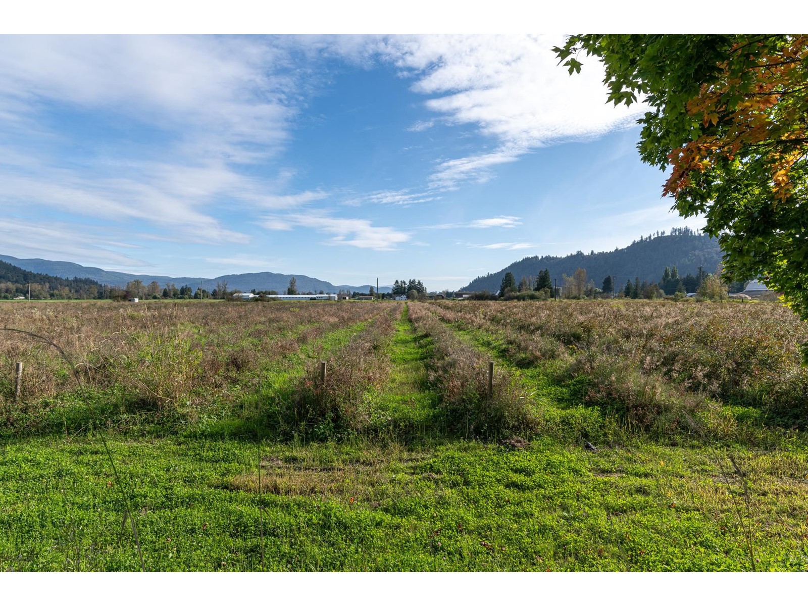 10594 Farms Road, Mission, British Columbia  V2V 4J1 - Photo 4 - R2984731