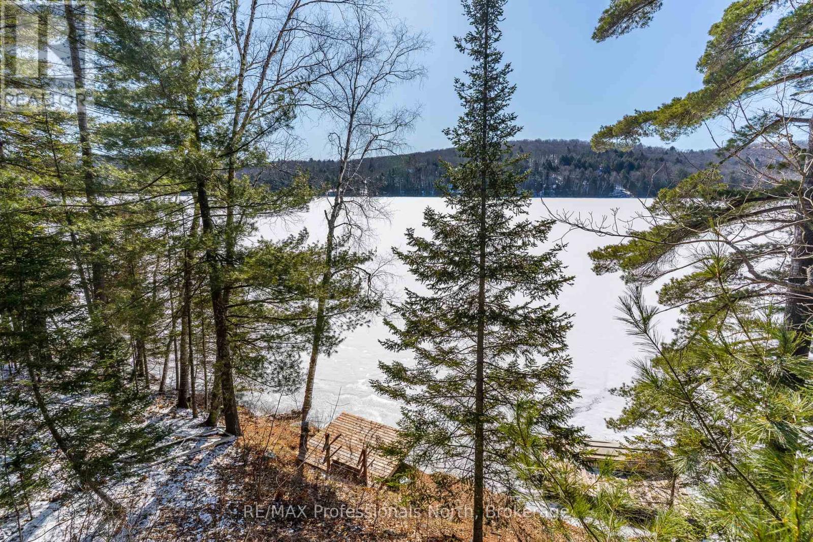 1196 Portage Road, Dysart Et Al, Ontario  K0M 1S0 - Photo 36 - X12067236