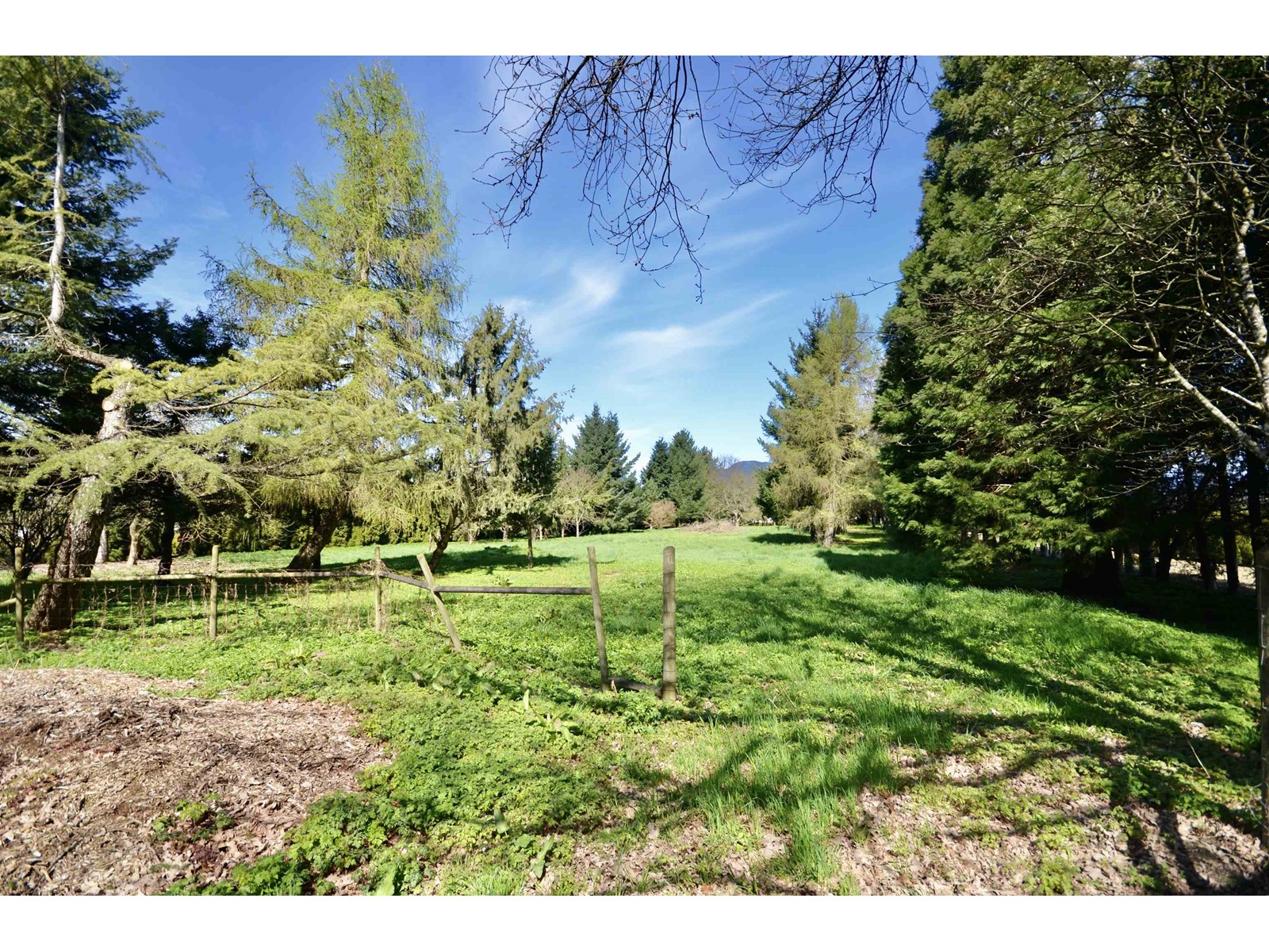 48821 Yale Road, East Chilliwack, Chilliwack, British Columbia  V4Z 0B1 - Photo 6 - R2986411