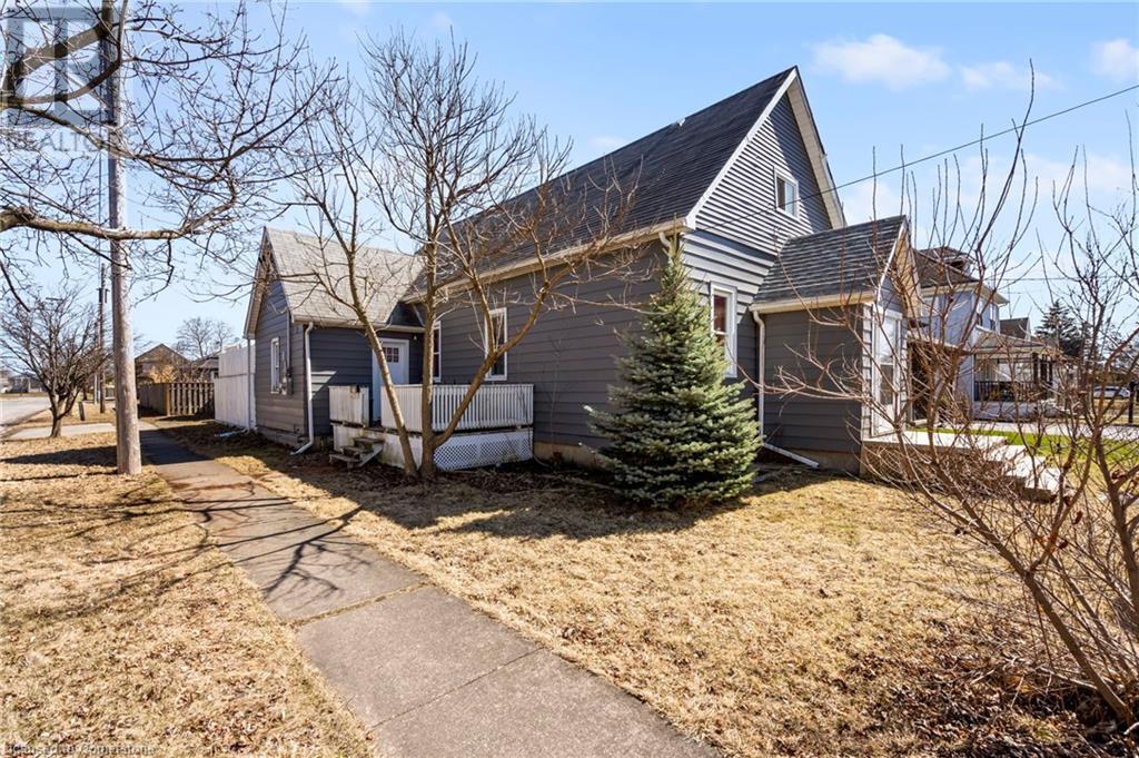 Property at 203 CHAFFEY Street image 5