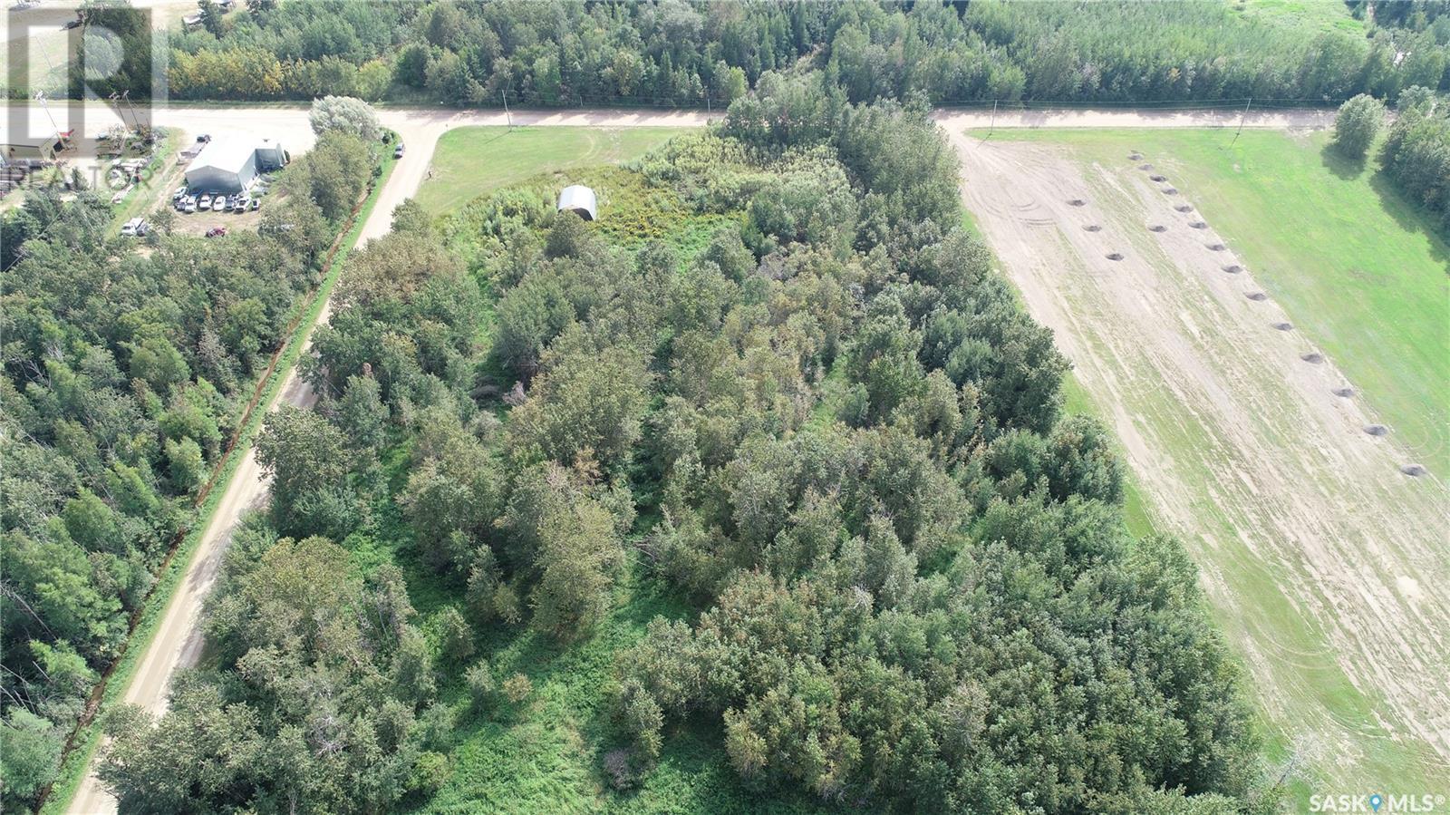 501 Nipawin Road W, Nipawin, Saskatchewan  S0E 1E0 - Photo 5 - SK001988