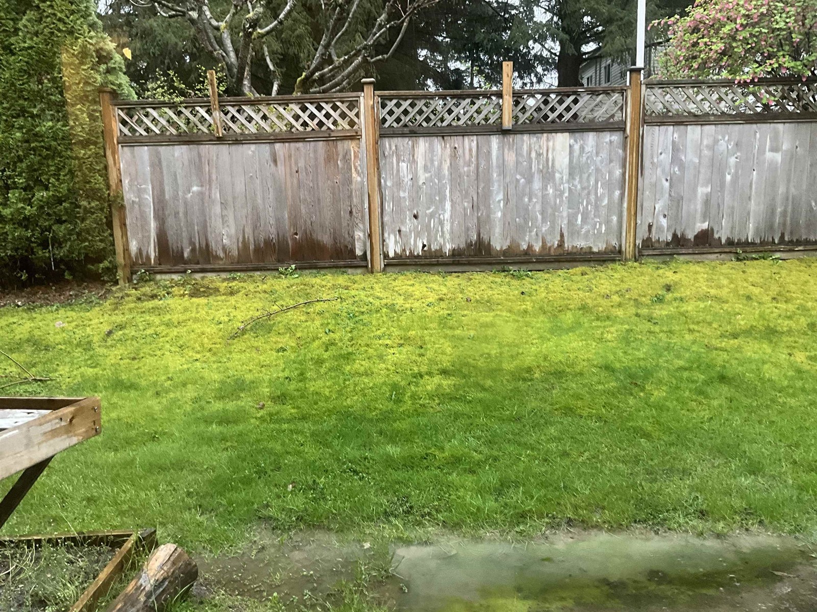 128 8655 King George Boulevard, Surrey, British Columbia  V3W 5C4 - Photo 12 - R2983229