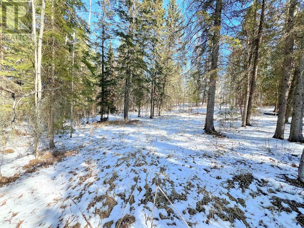 Lot 4, 221054 Township Road 670, Rural Athabasca County, Alberta  T9S 2B5 - Photo 7 - A2209466