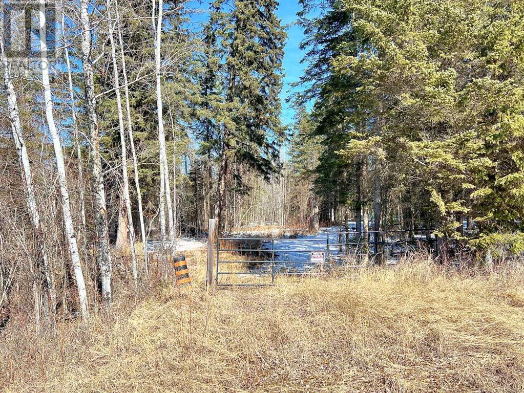Lot 3, 221056 Township Road 670, Rural Athabasca County, Alberta  T9S 2B5 - Photo 6 - A2209459