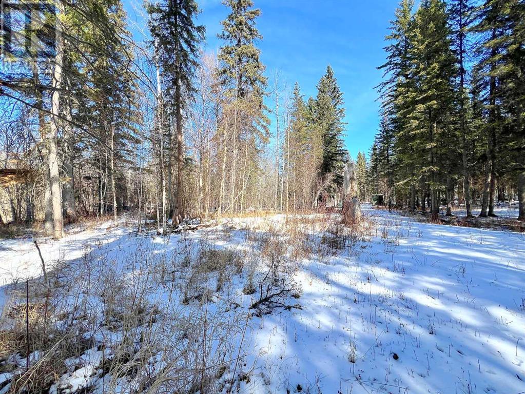 Lot 3, 221056 Township Road 670, Rural Athabasca County, Alberta  T9S 2B5 - Photo 9 - A2209459
