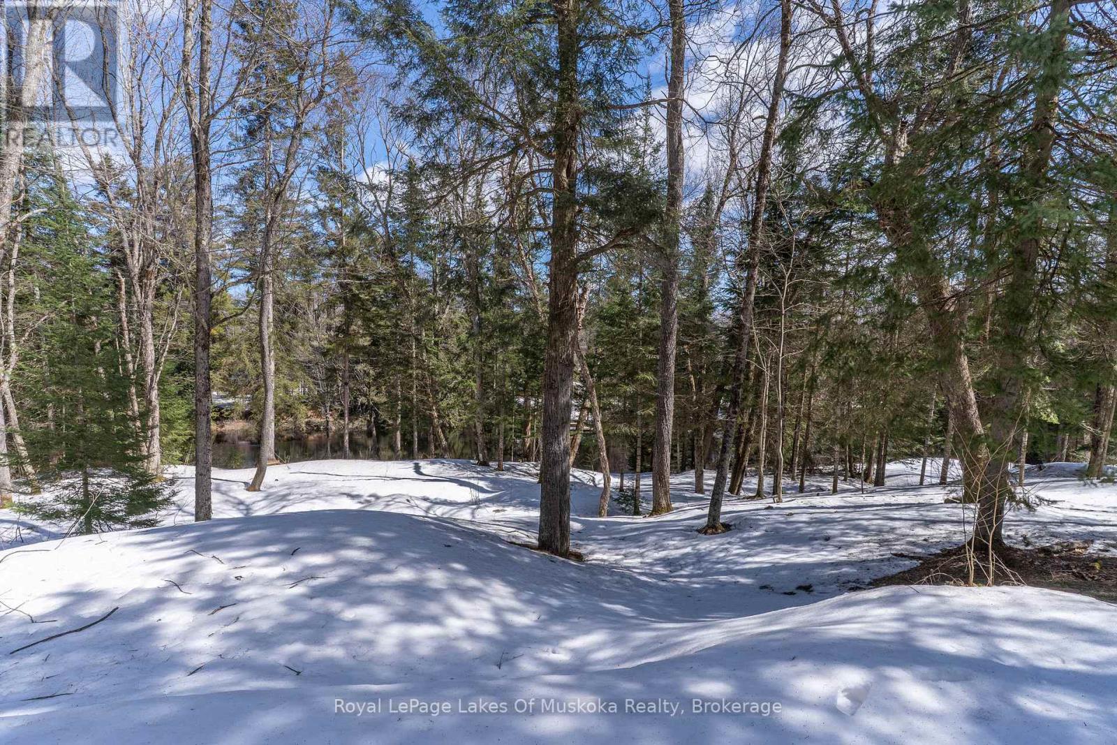 171 River Valley Drive, Huntsville, Ontario  P0B 1L0 - Photo 37 - X12067402