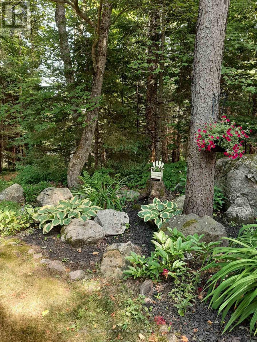 171 River Valley Drive, Huntsville, Ontario  P0B 1L0 - Photo 44 - X12067402