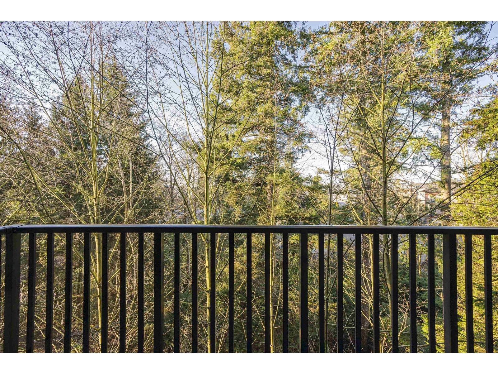 305 19830 56 Avenue, Langley, British Columbia  V3A 0A5 - Photo 10 - R2987121