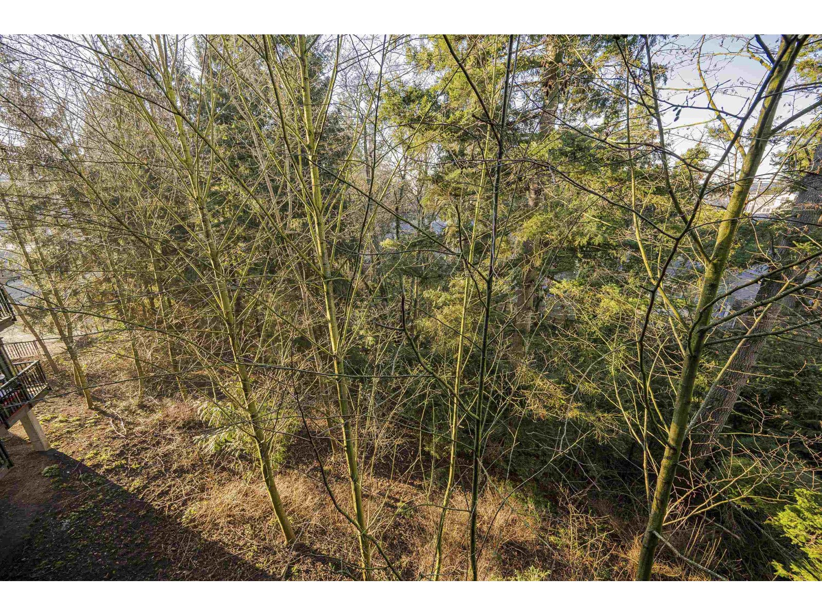 305 19830 56 Avenue, Langley, British Columbia  V3A 0A5 - Photo 11 - R2987121