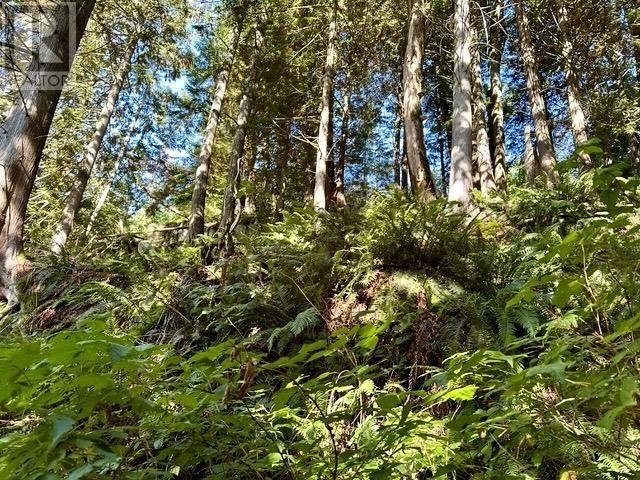 1010 Quarry Lane, Britannia Beach, British Columbia  V8B 1J2 - Photo 5 - R2987231