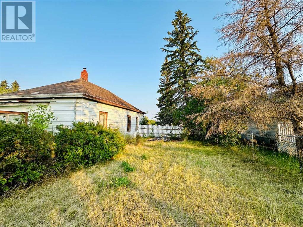 4916 48 Street, Hardisty, Alberta  T0B 1V0 - Photo 3 - A2209329