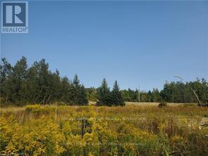270 Young Street, Southgate, Ontario  N0C 1B0 - Photo 2 - X12068021