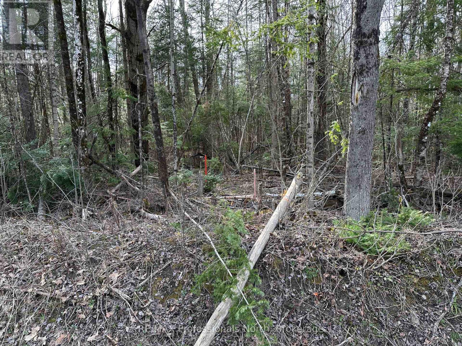 2731 Southwood Road, Gravenhurst, Ontario  P0E 1G0 - Photo 10 - X12068055