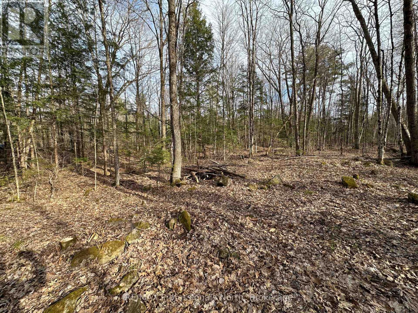 2731 Southwood Road, Gravenhurst, Ontario  P0E 1G0 - Photo 7 - X12068055