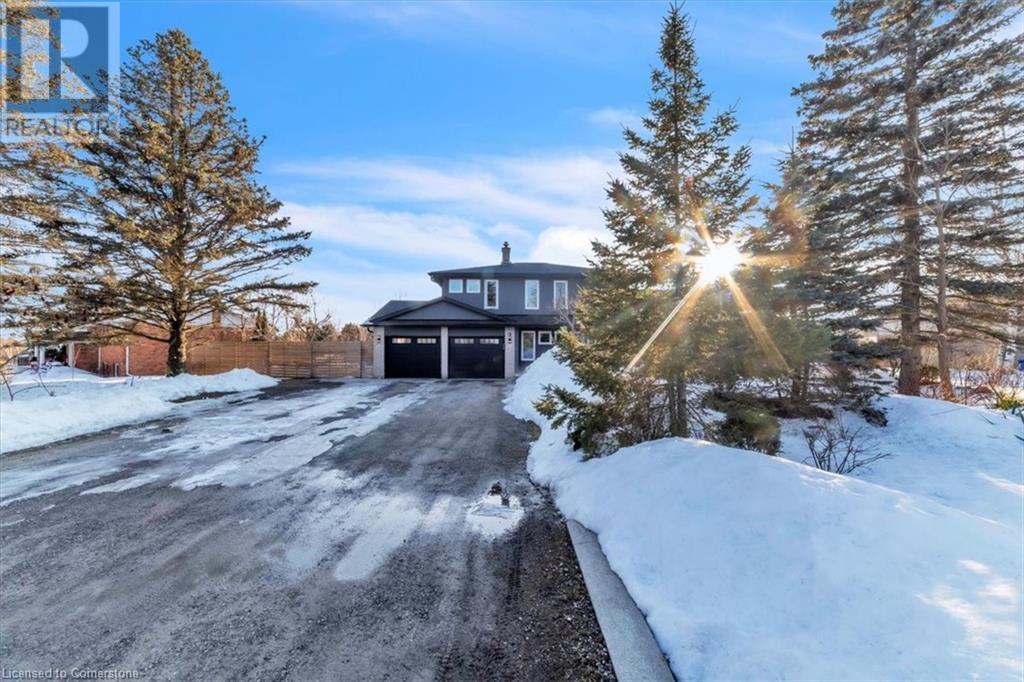 Property at 13 ELLEN Street image 3