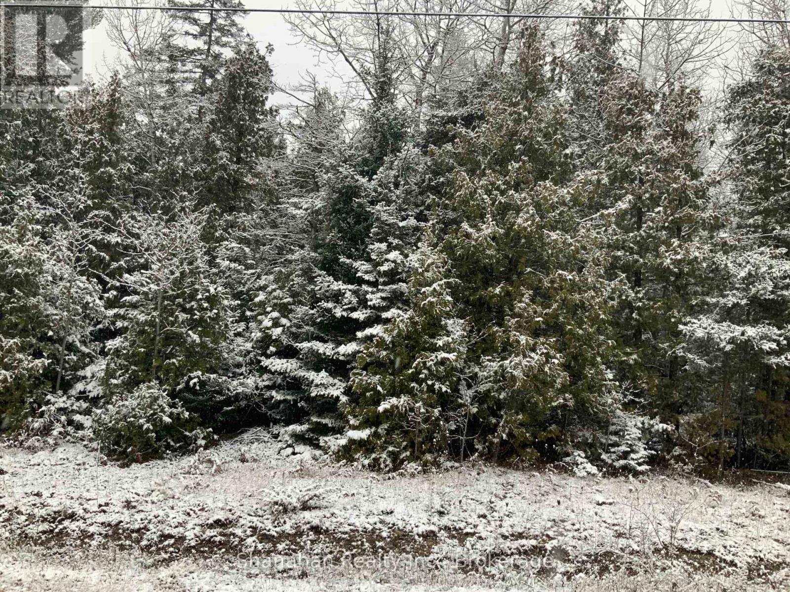 Lot 11 Norburn Road, Northern Bruce Peninsula, Ontario  N0H 2R0 - Photo 2 - X11889598