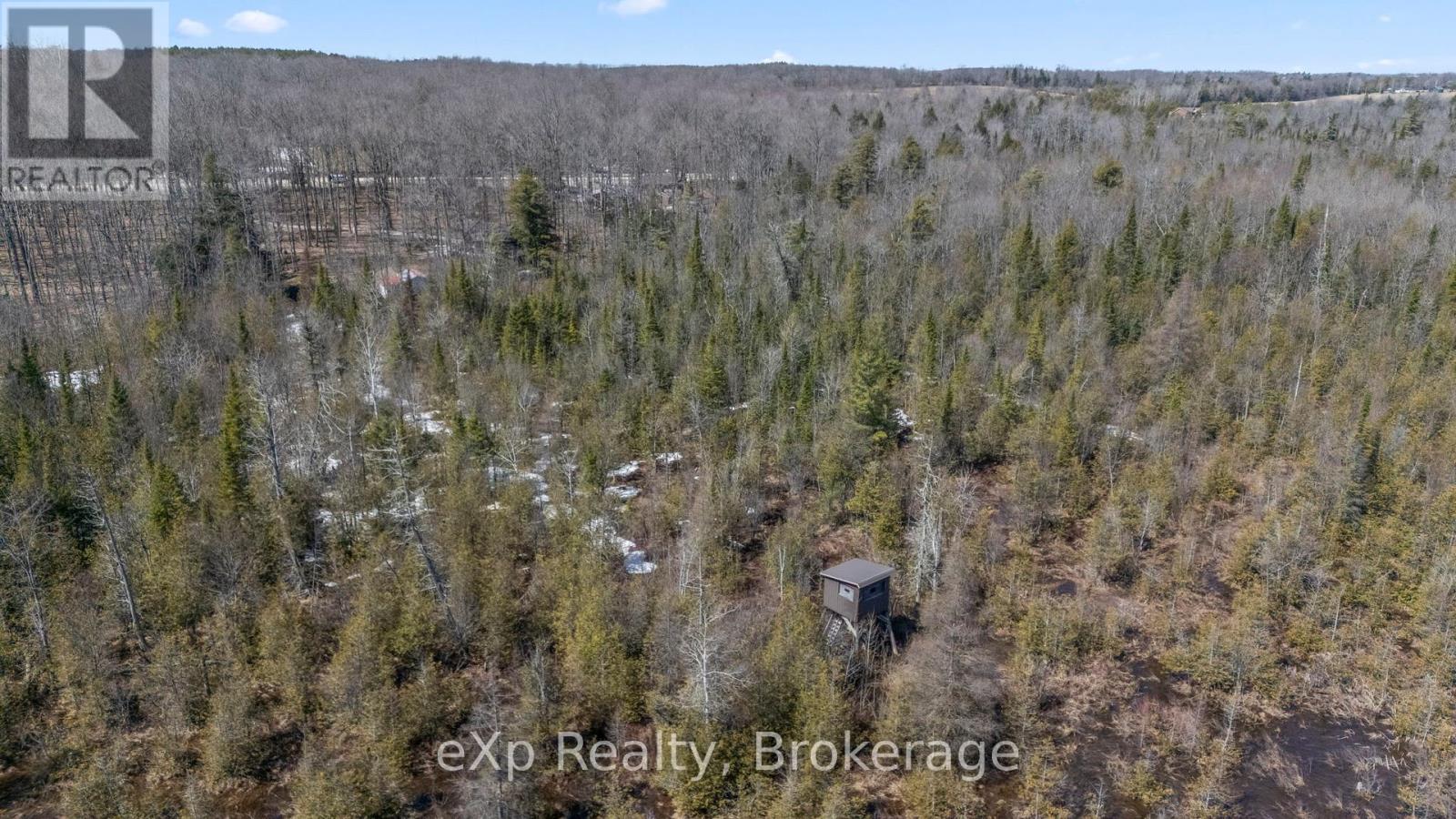 214339 Baseline Road, West Grey, Ontario  N0G 1S0 - Photo 4 - X12068241