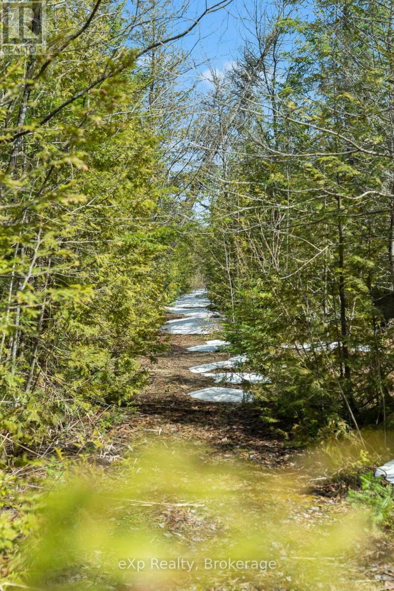 214339 Baseline Road, West Grey, Ontario  N0G 1S0 - Photo 42 - X12068241