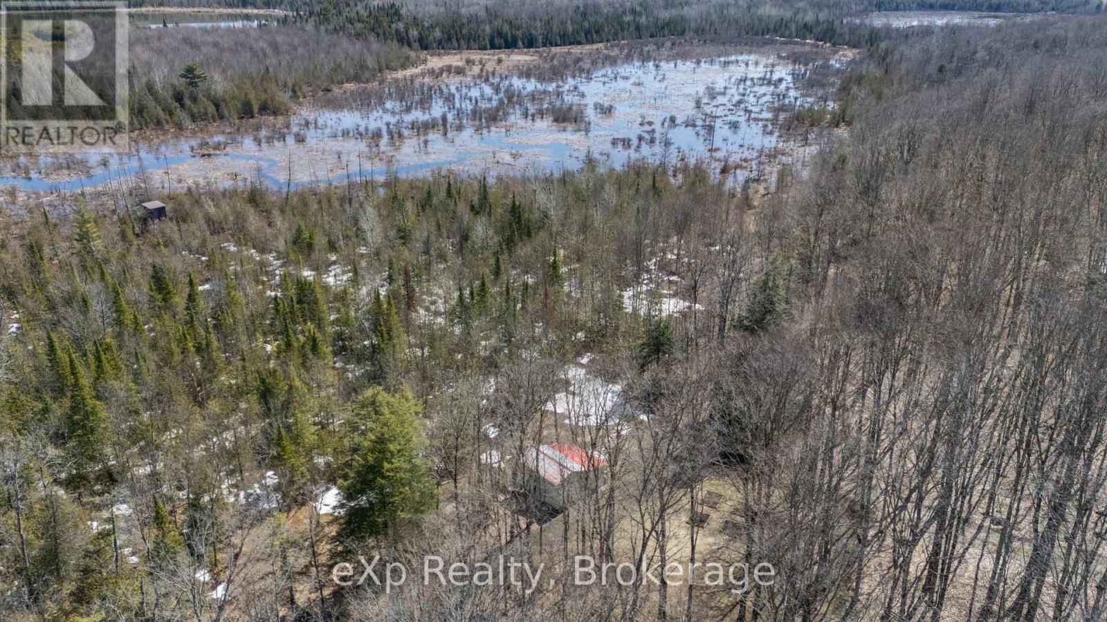 214339 Baseline Road, West Grey, Ontario  N0G 1S0 - Photo 6 - X12068241