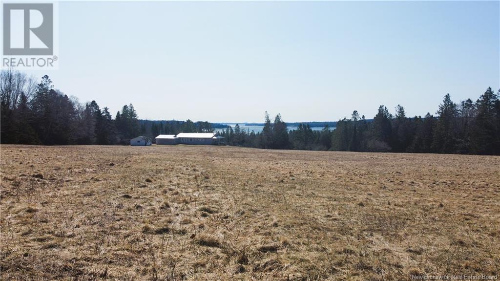 89 Glebe Road, Chamcook, New Brunswick  E5B 3B7 - Photo 30 - NB115275