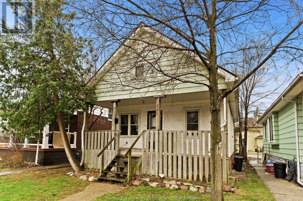 Property at 249 JOSEPHINE AVENUE image 3