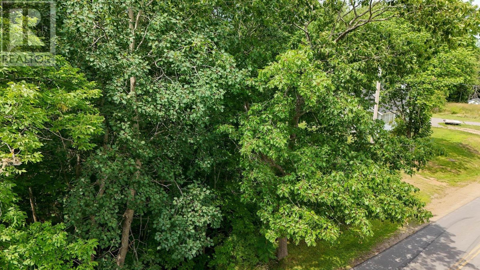 Lot 2 Maple Avenue, Wolfville, Nova Scotia  B4P 2L9 - Photo 11 - 202507116