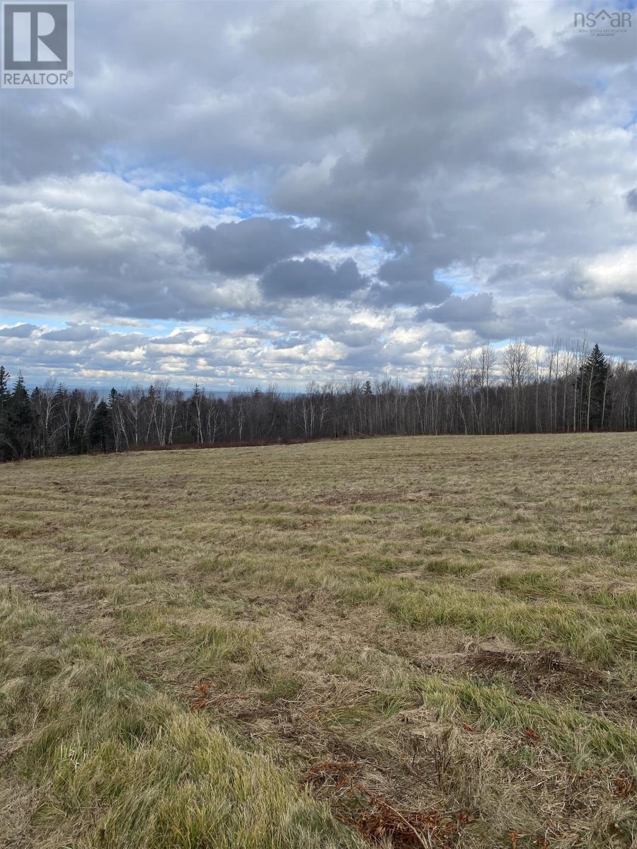 Lot 3 Shore Road West, Phinneys Cove, Nova Scotia  B0S 1L0 - Photo 4 - 202507117