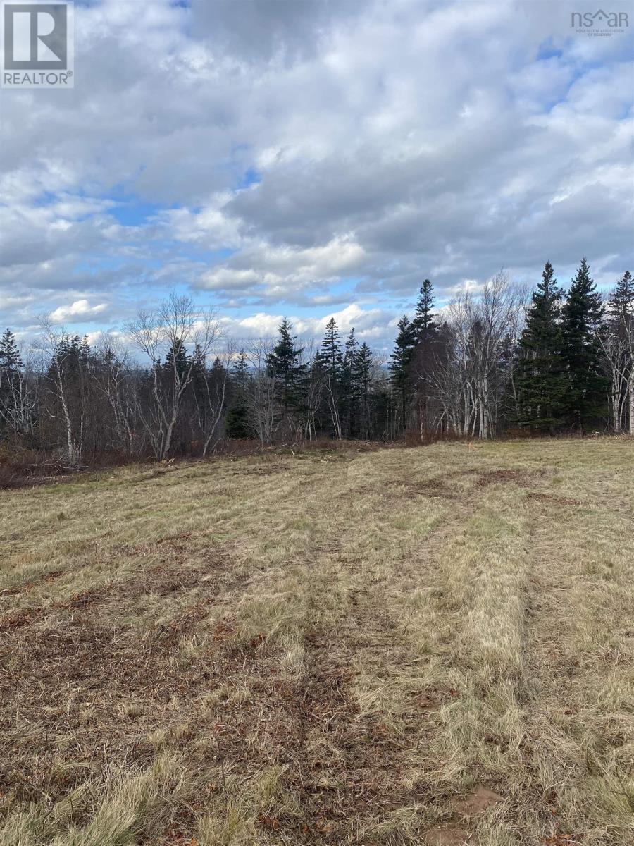 Lot 3 Shore Road West, Phinneys Cove, Nova Scotia  B0S 1L0 - Photo 5 - 202507117