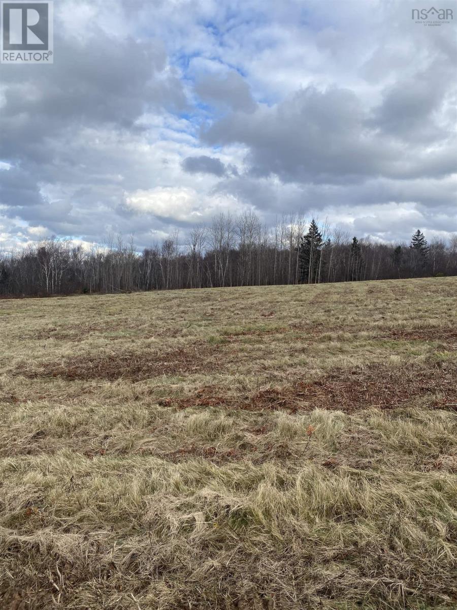 Lot 3 Shore Road West, Phinneys Cove, Nova Scotia  B0S 1L0 - Photo 6 - 202507117