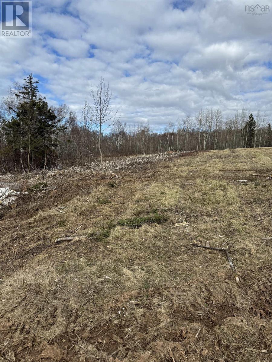 Lot 3 Shore Road West, Phinneys Cove, Nova Scotia  B0S 1L0 - Photo 7 - 202507117