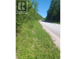 382309 CONCESSION 17