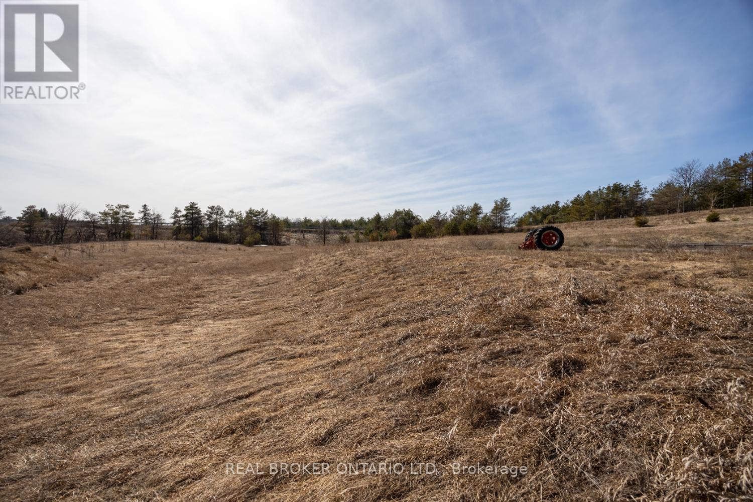 Part Lot 11 Concession 2 Manvers Part 2, Kawartha Lakes, Ontario  L0A 1K0 - Photo 14 - X11983064