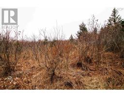 Lot 39 Quaco Road, Port Maitland, Ca