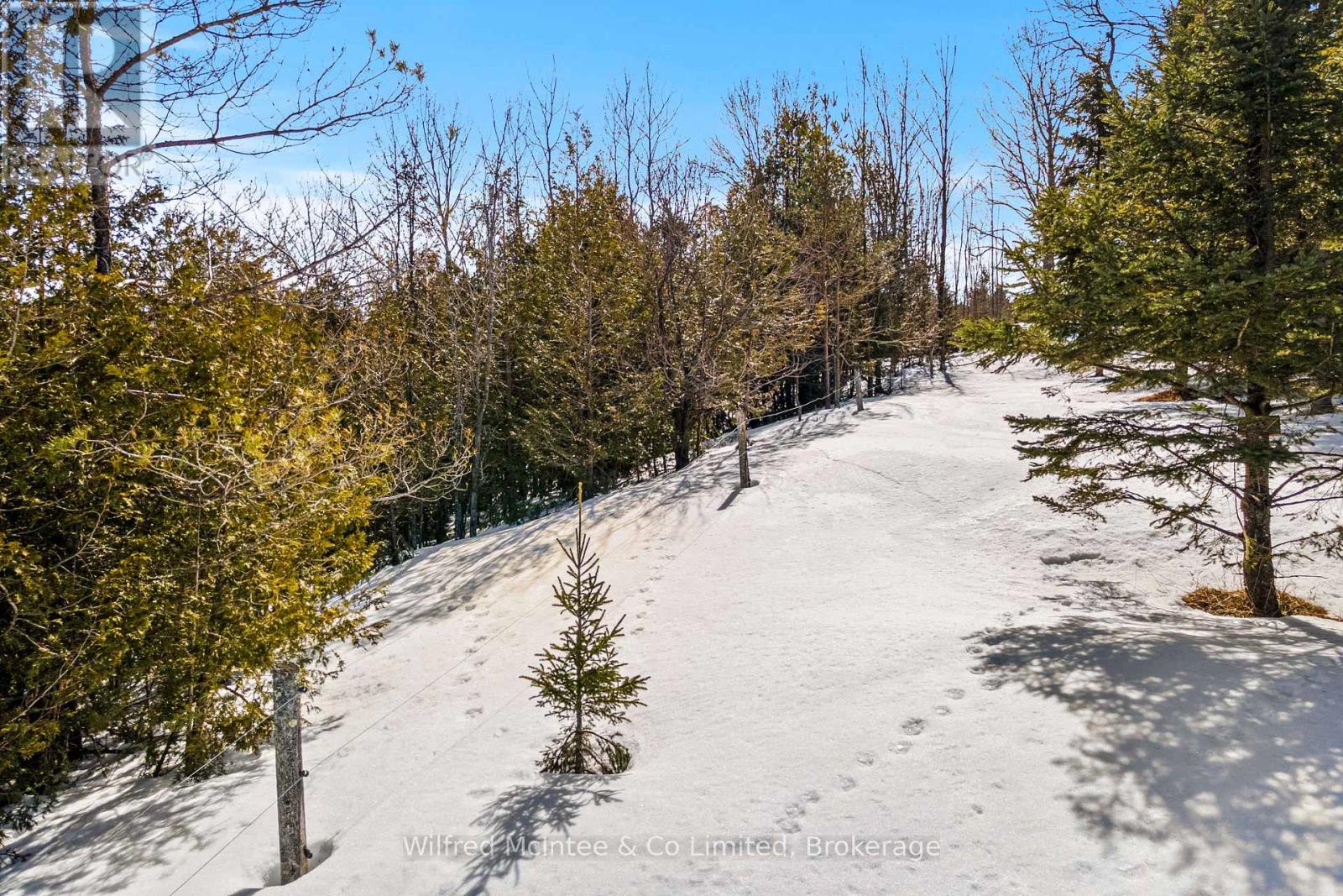 262700 Varney Road, West Grey, Ontario  N0G 1R0 - Photo 43 - X12068727