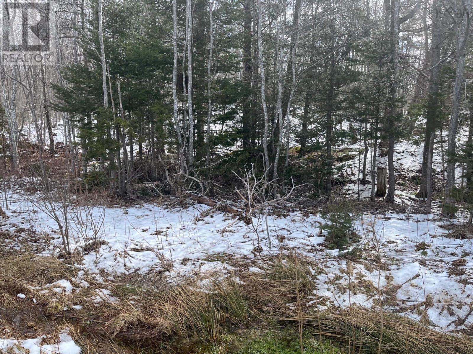 Kempt Head Road, Ross Ferry, Nova Scotia  B1X 1M1 - Photo 3 - 202501039