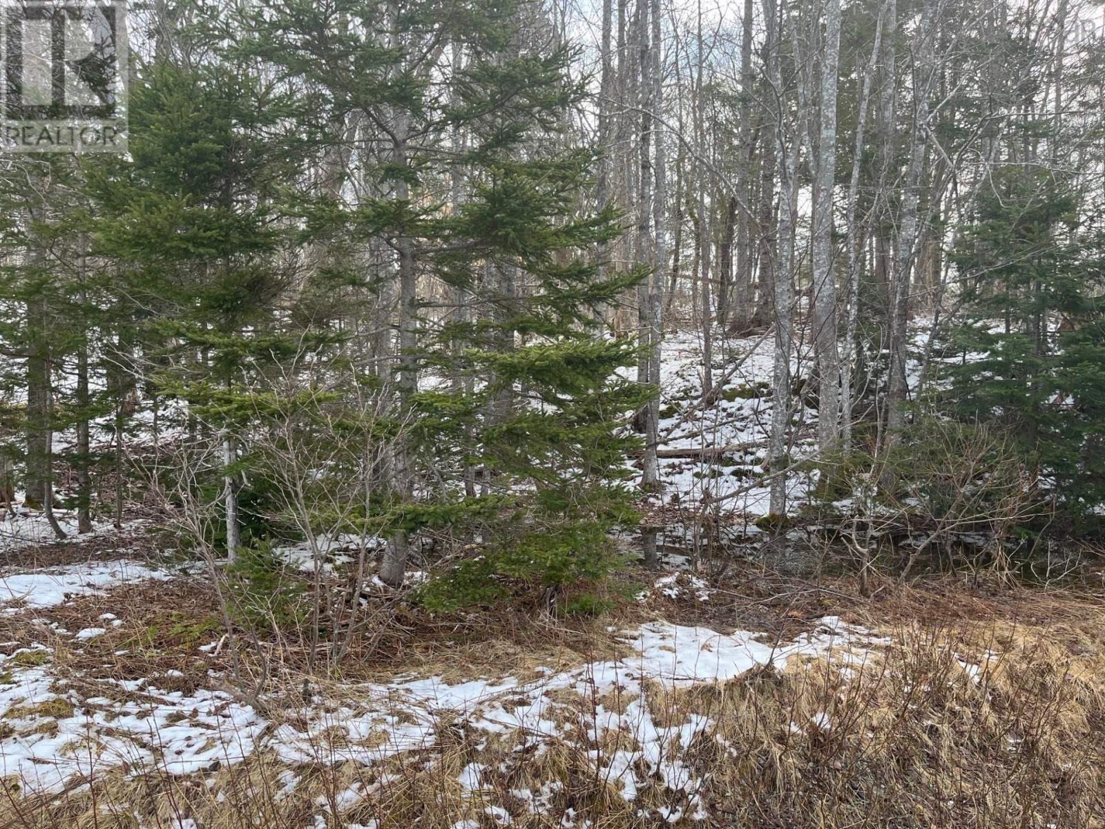 Kempt Head Road, Ross Ferry, Nova Scotia  B1X 1M1 - Photo 4 - 202501039