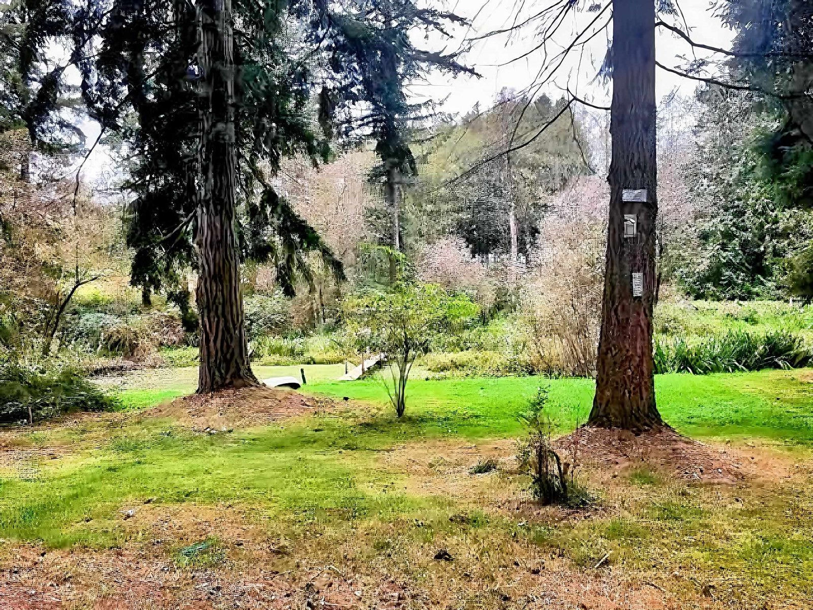 23317 16 Avenue, Langley, British Columbia  V2Z 1K7 - Photo 2 - R2986364