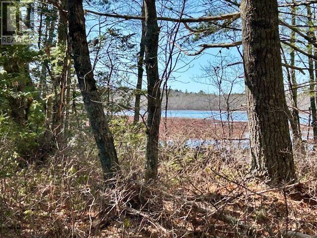Lot Bridge Road, New Elm, Nova Scotia  B0T 1X0 - Photo 1 - 202507146