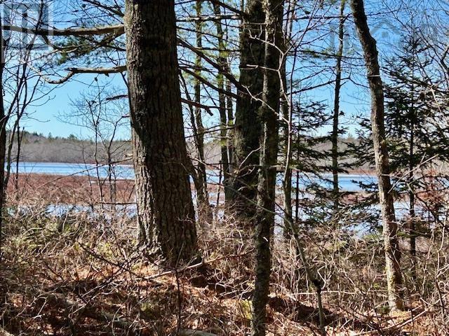 Lot Bridge Road, New Elm, Nova Scotia  B0T 1X0 - Photo 2 - 202507146